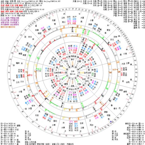 八字 星|八字排盘